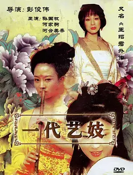 韩剧 无声证人 海报
